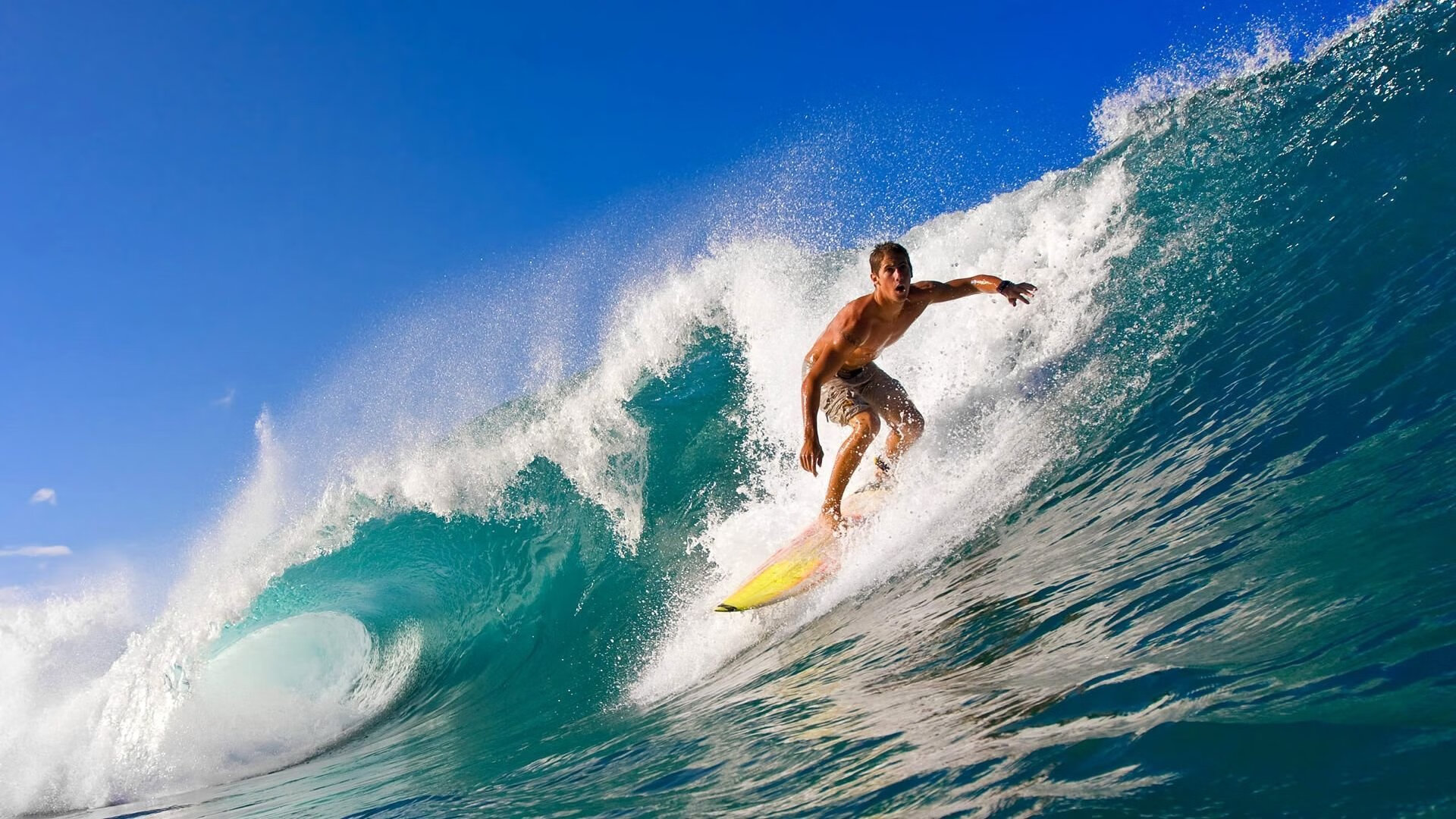 开云体育登入口-美国蝶泳力量！乌兰多表现值得称道，美国女子蝶泳选手